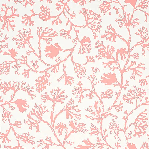 Schumacher Wallpaper 5012132 Anthoza Coral