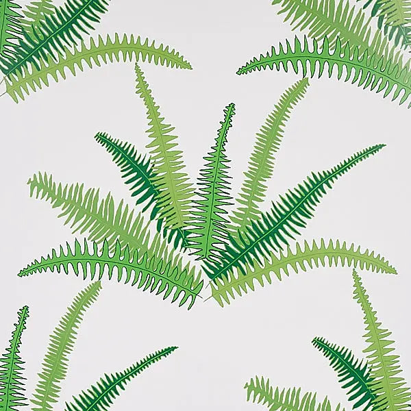 Schumacher Wallpaper 5012621 Canyon Ferns Jungle