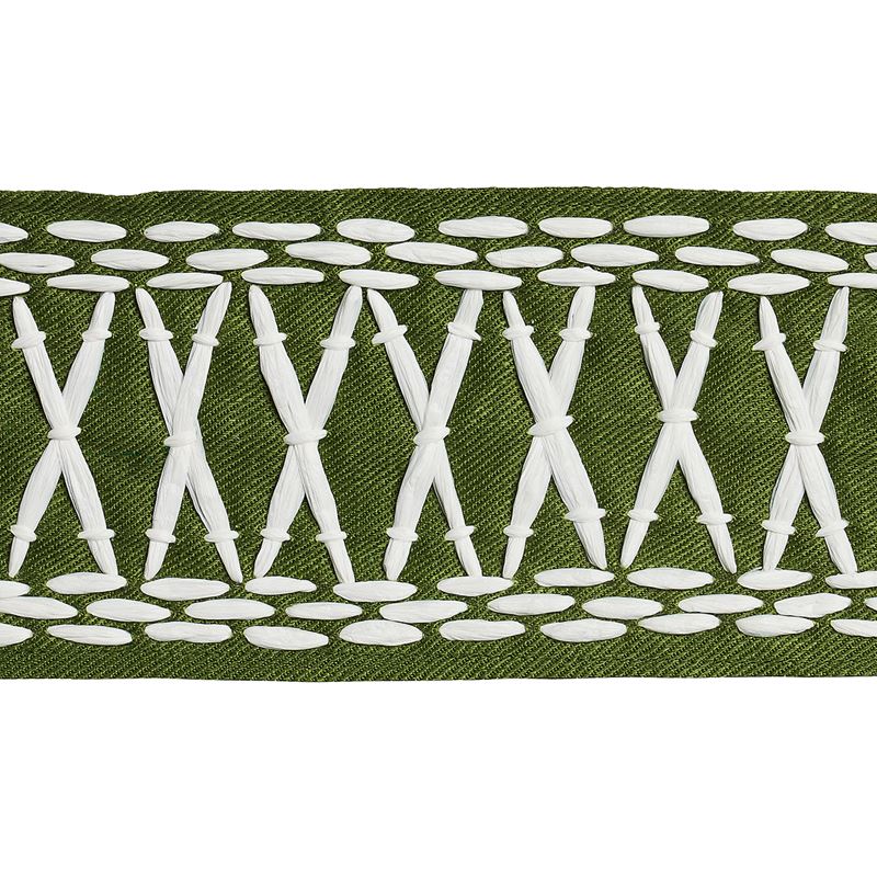 Schumacher Fabric Trim 69306 Tikki Tape Green