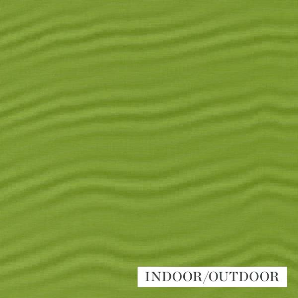 Schumacher Fabric 70992 Alassio Lime