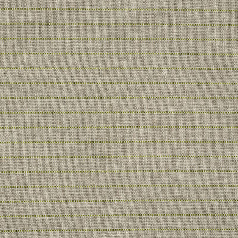 Schumacher Fabric 71813 Manning Stripe Indoor/Outdoor Lime