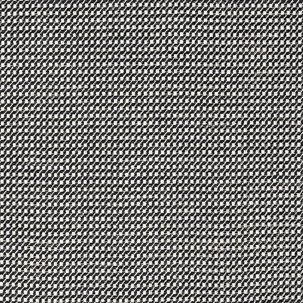 Schumacher Fabric 73503 Toscana Black