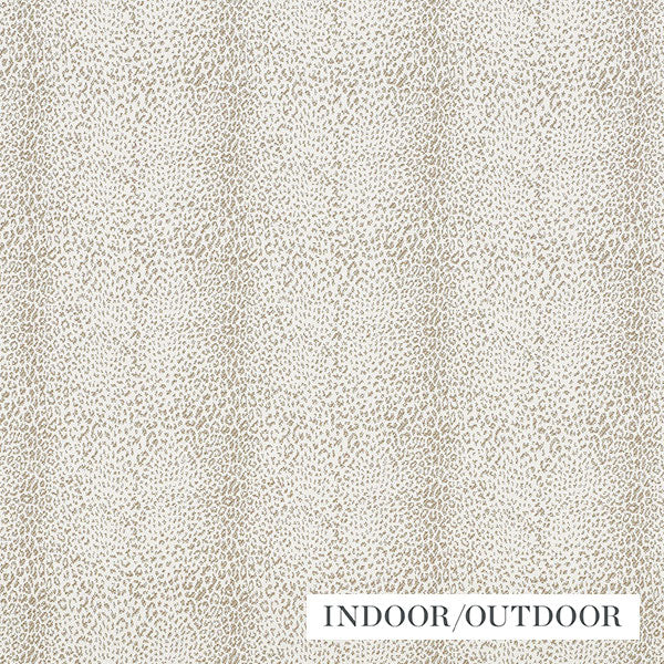 Schumacher Fabric 75433 Mini Leopard Outdoor Taupe