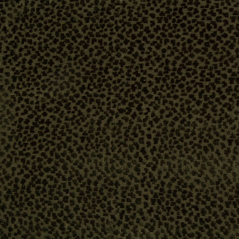 Brunschwig & Fils Fabric 8017126.30 La Panthere Velvet Green