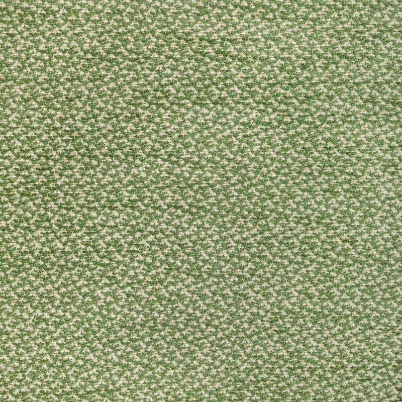 Brunschwig & Fils Fabric 8022122.3 Sasson Texture Green