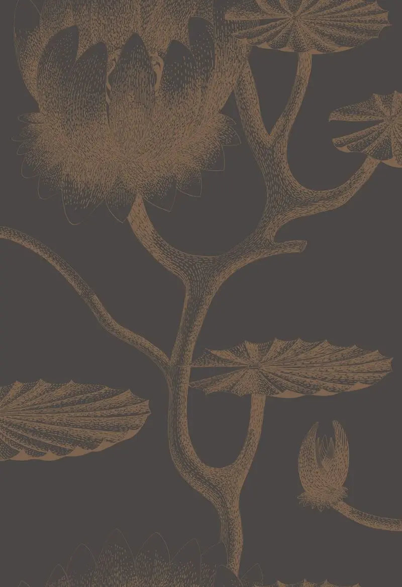 Cole & Son Wallpaper 95/4021.CS Lily Black/Bronze