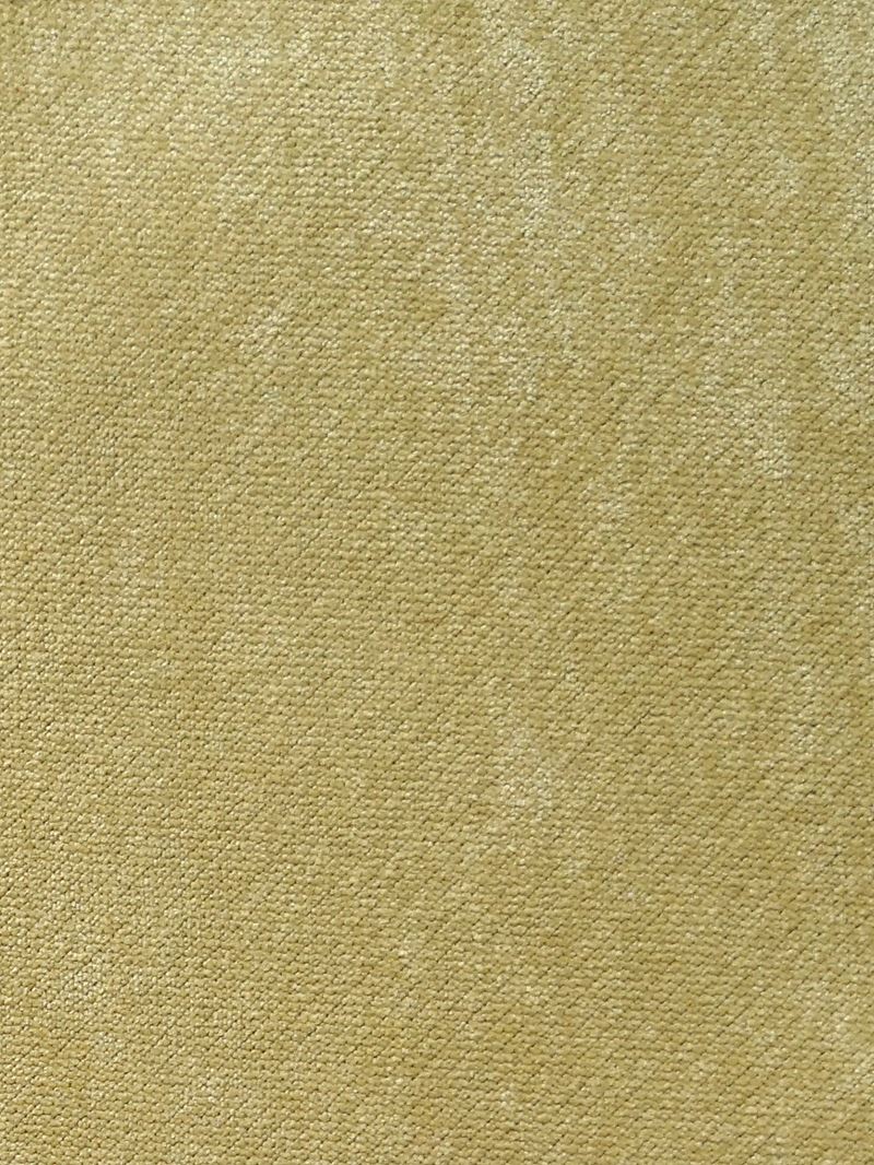 Scalamandre Fabric A9 00097700 Expert Golden Mist