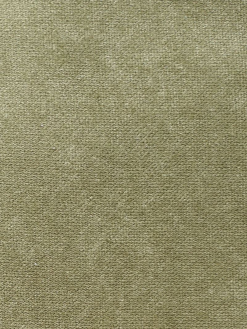 Scalamandre Fabric A9 00197700 Expert Tarragon