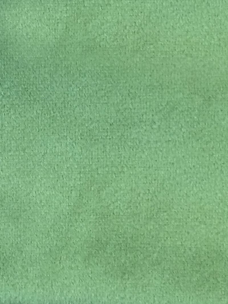 Scalamandre Fabric A9 0030SUCE Sucesso Palm Green