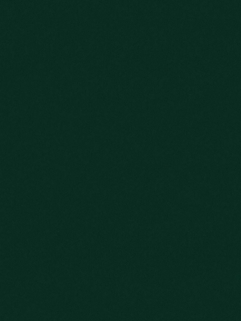 Scalamandre Fabric AB 90601000 Sensuede Evergreen