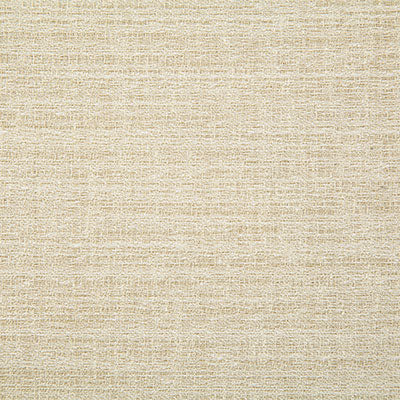 Pindler Fabric ABB016-WH01 Abbott Bisque