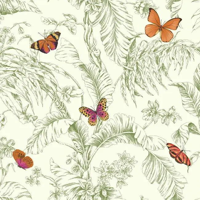 York AF2027 Ashford Toiles Papillon Wallpaper