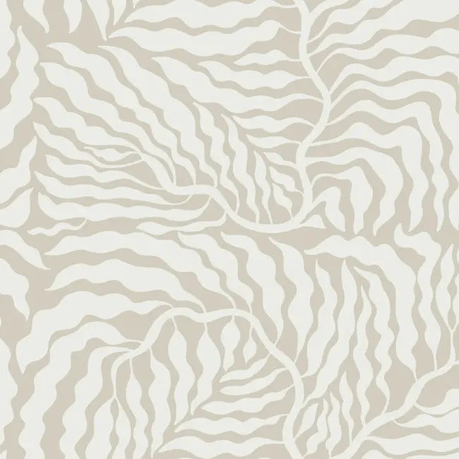 York AG2063 Taupe & White Fern Fronds Wallpaper