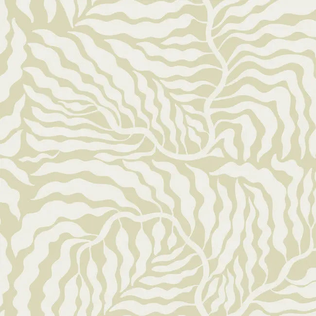 York AG2065 Light Green & White Fern Fronds Wallpaper