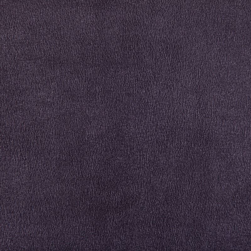 Kravet Contract Fabric AGATHA.10 Agatha Iris