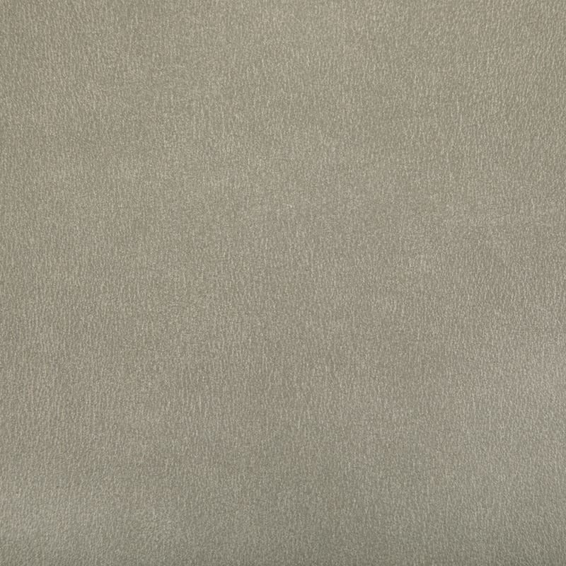 Kravet Contract Fabric AGATHA.1611 Agatha Mica