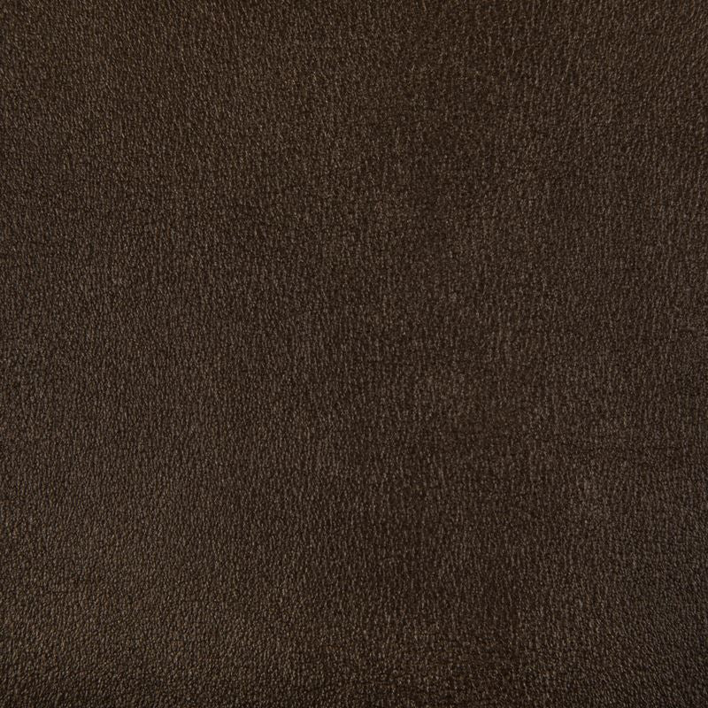 Kravet Contract Fabric AGATHA.624 Agatha Bronze