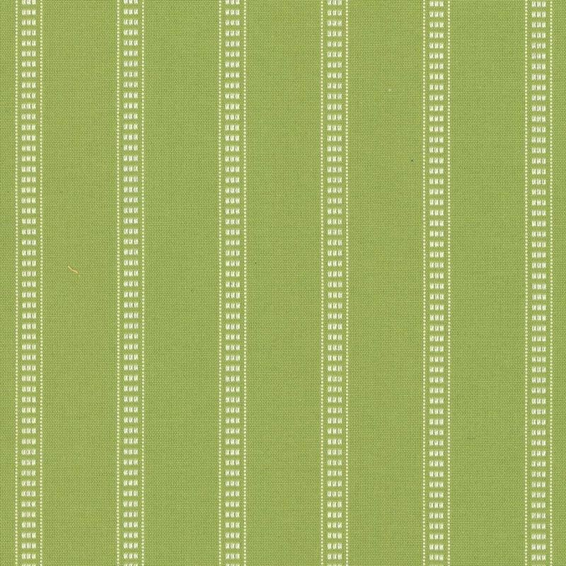 Kasmir Fabric Babbo Stripe Palm