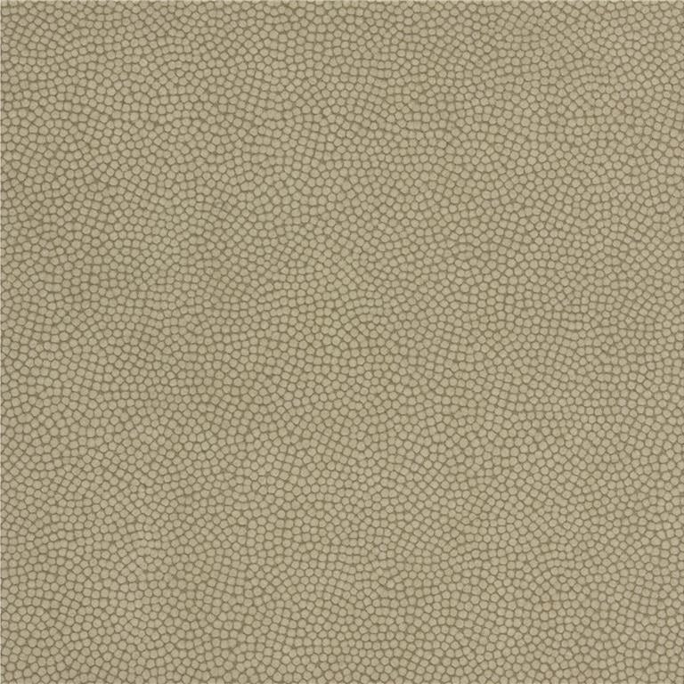 Kravet Couture Fabric BEAUTYMARK.106 Beautymark Greystone