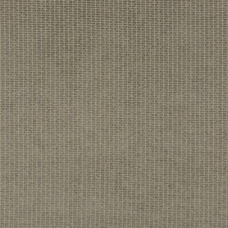 G P & J Baker Fabric BF10681.970 Vortex Graphite