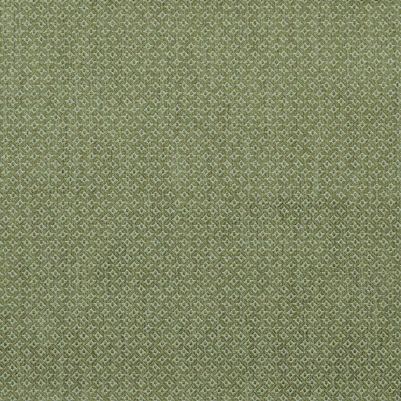 Lee Jofa Fabric BFC-3677.314 Cavendish Lime