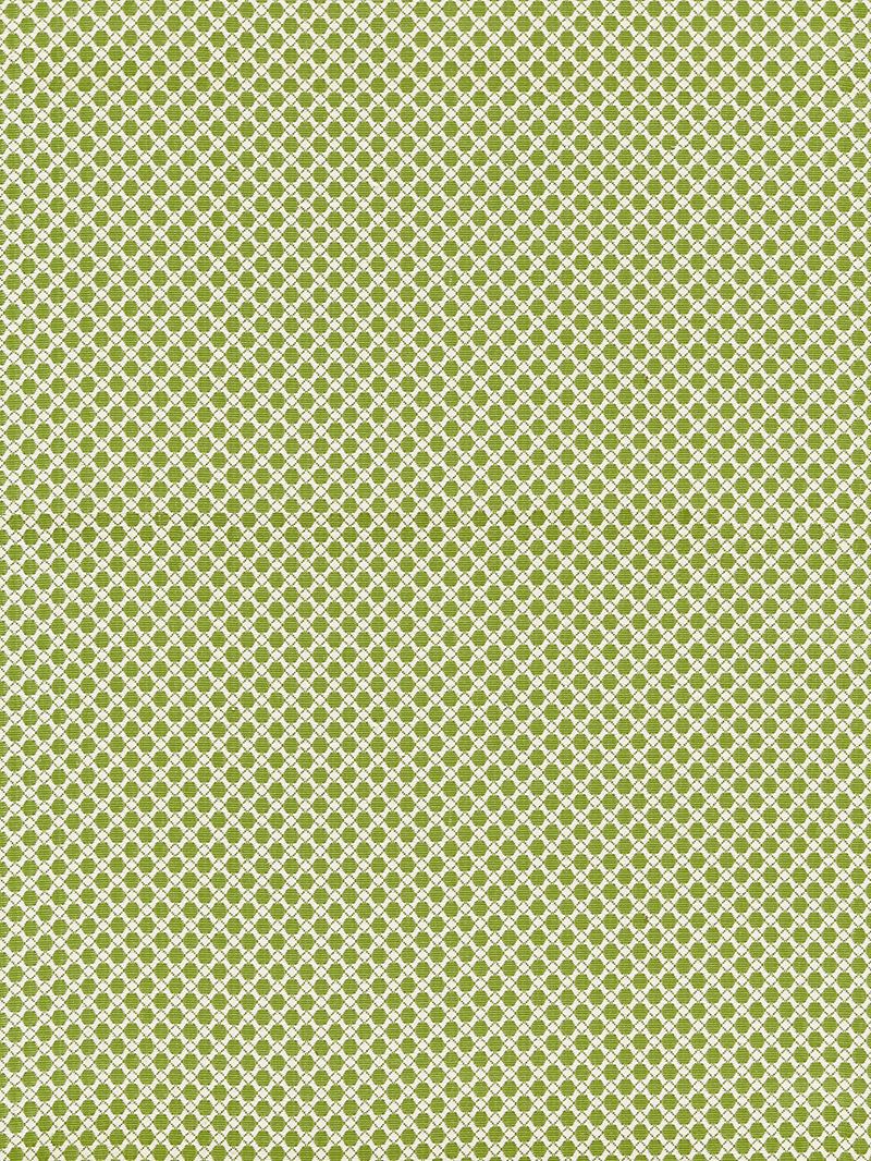 Scalamandre Fabric BK 0003K65121 Bellaire Trellis Leaf