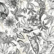 York Wallpaper BL1703 Rainforest