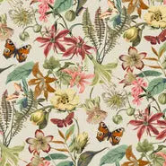 York Wallpaper BL1724 Butterfly House