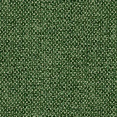 Brunschwig & Fils Fabric BR-81782.488 Yorke Chenille Forest