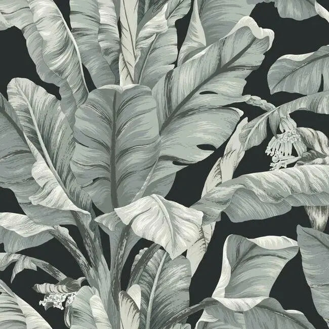 York BW3971 Banana Leaf Wallpaper