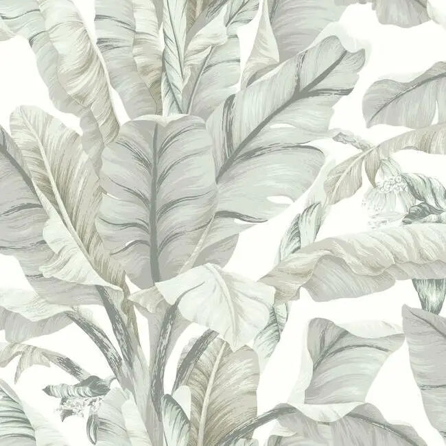 York BW3972 Banana Leaf Wallpaper