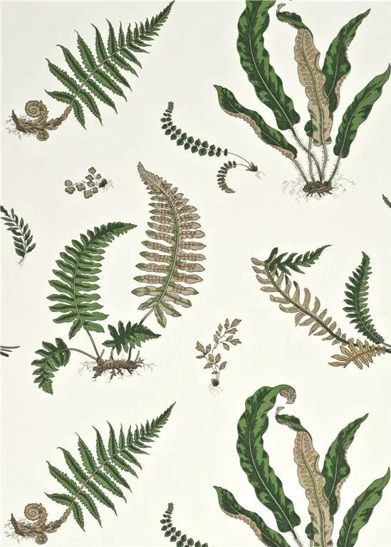 G P & J Baker Wallpaper BW45044.1 Ferns Original Green