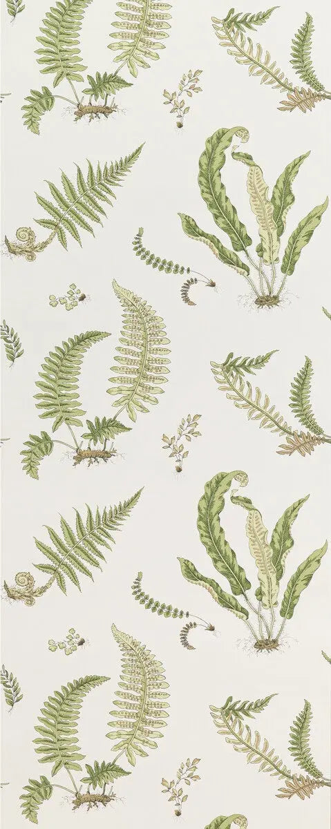 G P & J Baker Wallpaper BW45044.10 Ferns Leaf