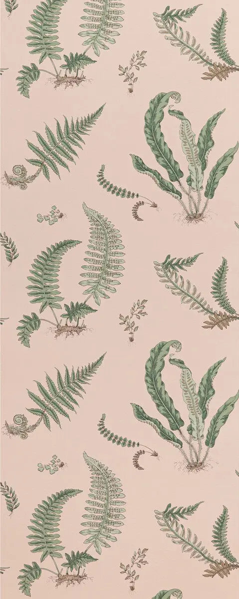 G P & J Baker Wallpaper BW45044.11 Ferns Blush