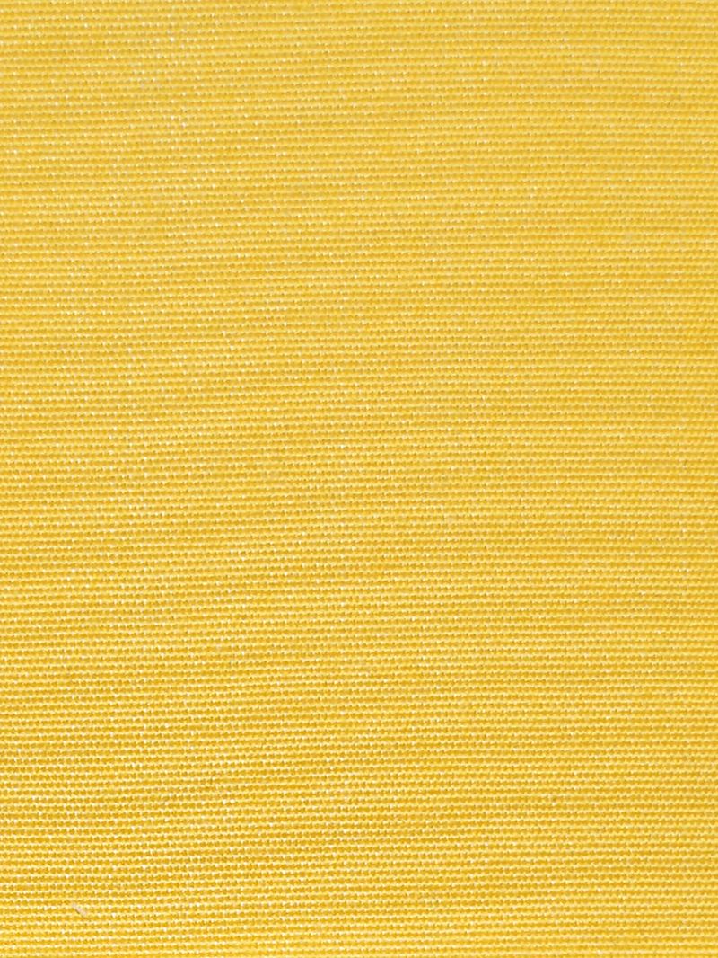 Scalamandre Fabric CA 00422965 Antibes Citron