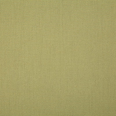 Pindler Fabric CAL067-GR81 Callahan Olive