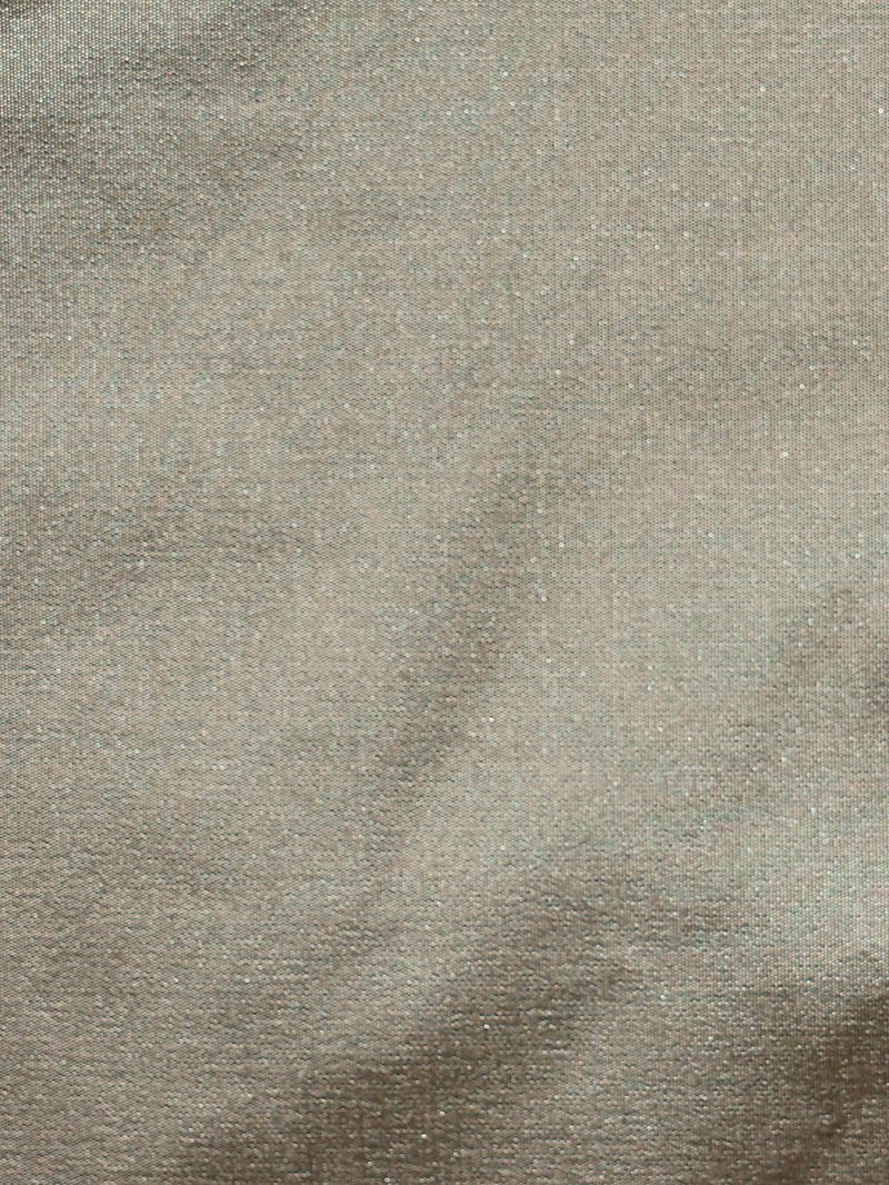 Scalamandre Fabric CH 03074540 Taffeta Bs Tree Bark