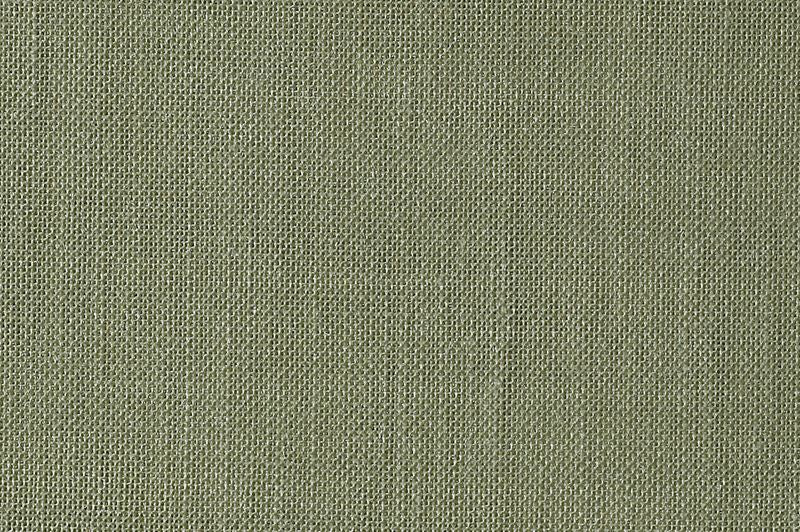 Scalamandre Fabric CH 06244176 Alsara Nettle