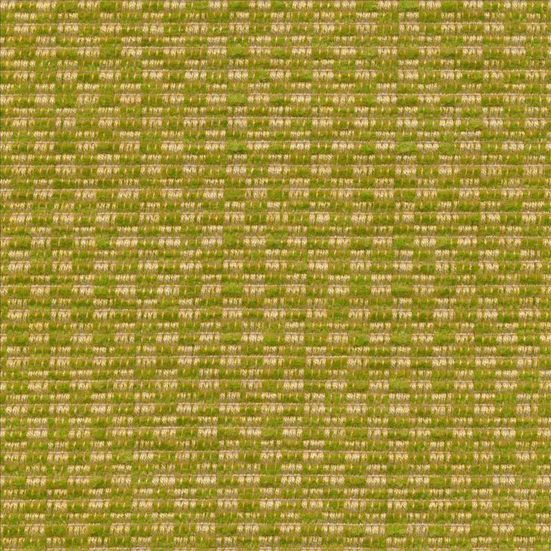 Kasmir Fabric Checkered Out Io Frond