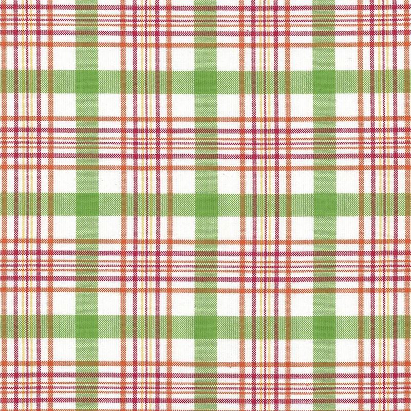 Kasmir Fabric Cicero Plaid Summer