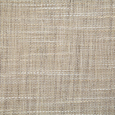 Pindler Fabric COO006-BG06 Cooper Pebble