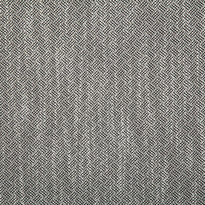 Pindler Fabric CRO040-BK01 Crossings Domino