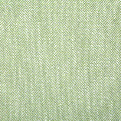 Pindler Fabric CRO040-GR01 Crossings Kiwi