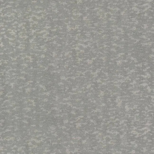 York DD3753 Weathered Cypress Wallpaper