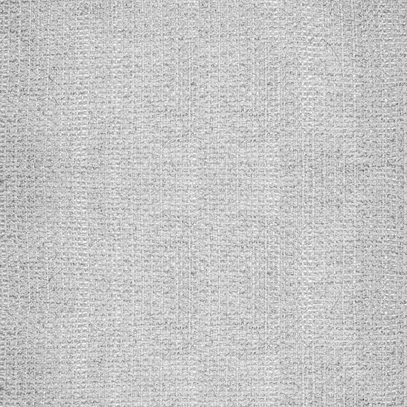 RM Coco Fabric Ethereal Wide-Width Casement Silver Threads