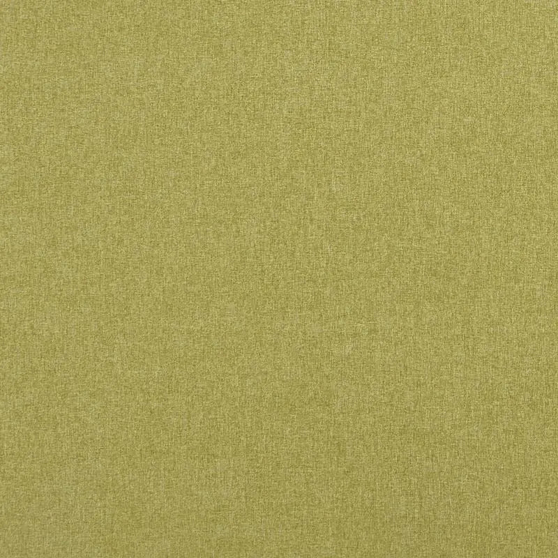 Clarke and Clarke Fabric F0848-12 Highlander Fern