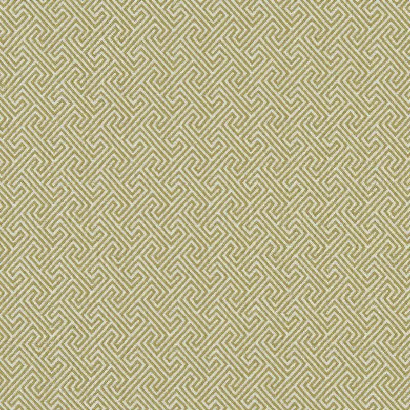 Clarke and Clarke Fabric F1131-1 Mercury Citron