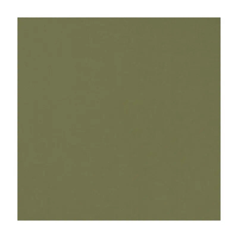 Clarke and Clarke Fabric F1294-46 Novara Olive