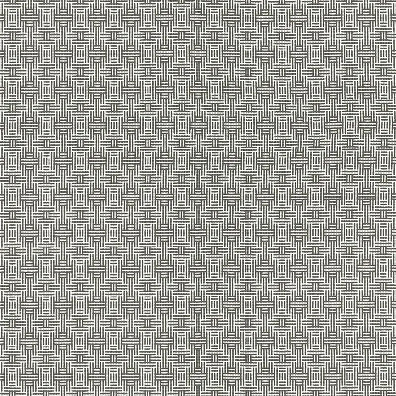 Clarke and Clarke Fabric F1438-1 Aztec Charcoal