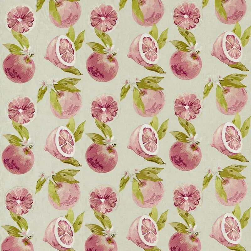 Clarke and Clarke Fabric F1506-1 Agrias Grapefruit